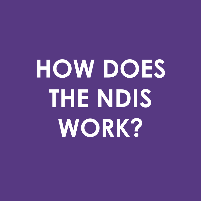How does the NDIS work?